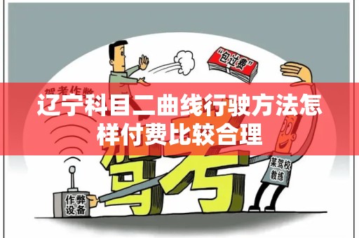 辽宁科目二曲线行驶方法怎样付费比较合理