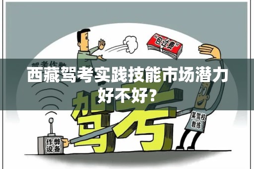 西藏驾考实践技能市场潜力好不好？