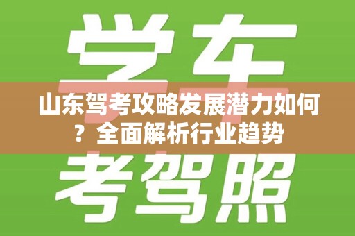 山东驾考攻略发展潜力如何？全面解析行业趋势