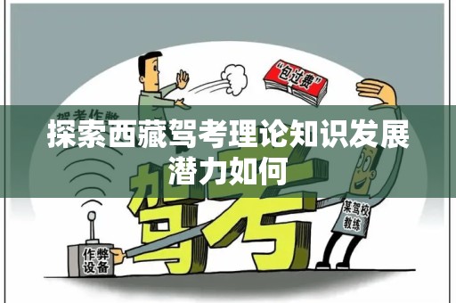 探索西藏驾考理论知识发展潜力如何