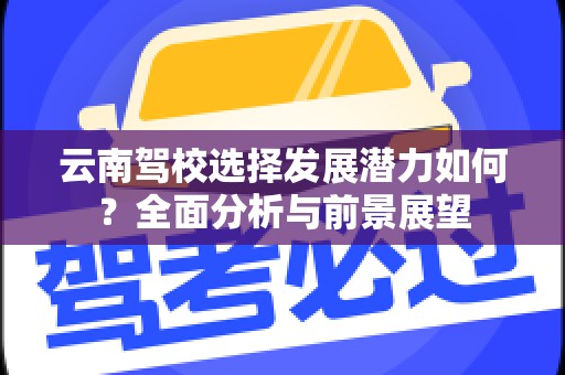 云南驾校选择发展潜力如何？全面分析与前景展望